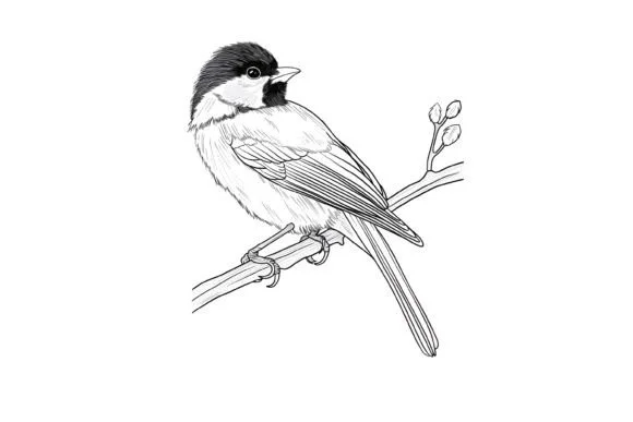 Cute Christmas Bird Coloring Page