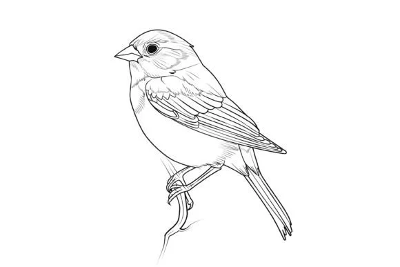 Cute Christmas Bird Coloring Page