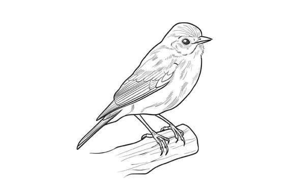 Cute Christmas Bird Coloring Page