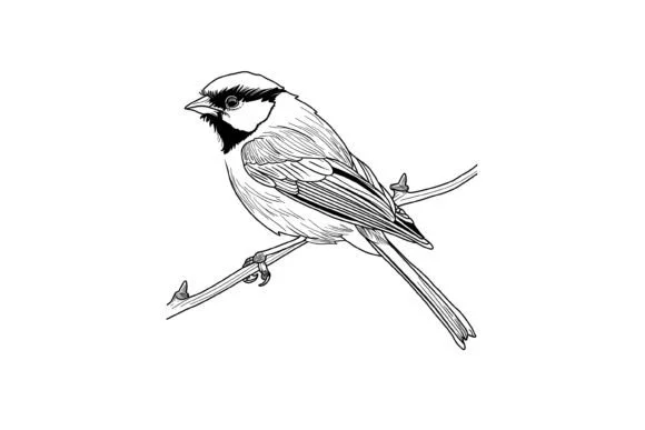 Cute Christmas Bird Coloring Page