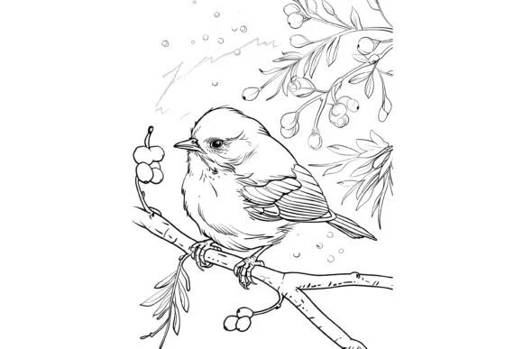 Cute Christmas Bird Coloring Page