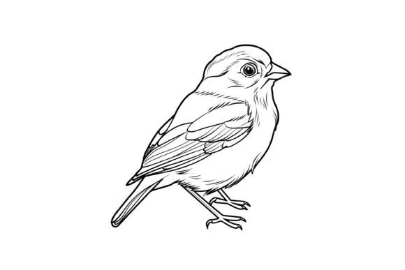 Cute Christmas Bird Coloring Page