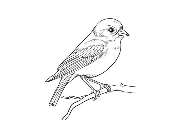 Cute Christmas Bird Coloring Page
